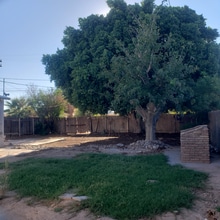 443 N 1st St in Blythe, CA - Building Photo - Building Photo
