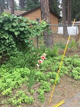 3800 E 2nd Ave in Post Falls, ID - Building Photo - Building Photo