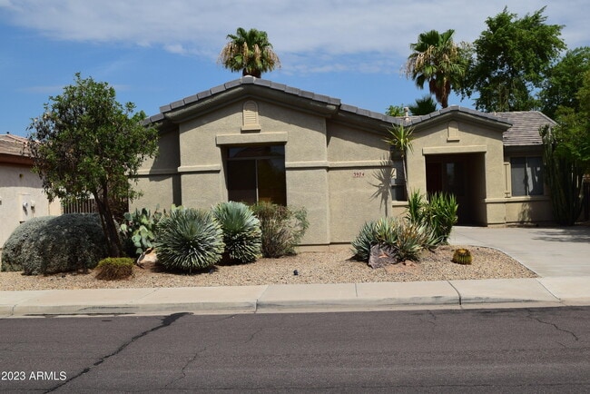 3974 N 146th Ln in Goodyear, AZ - Building Photo - Building Photo