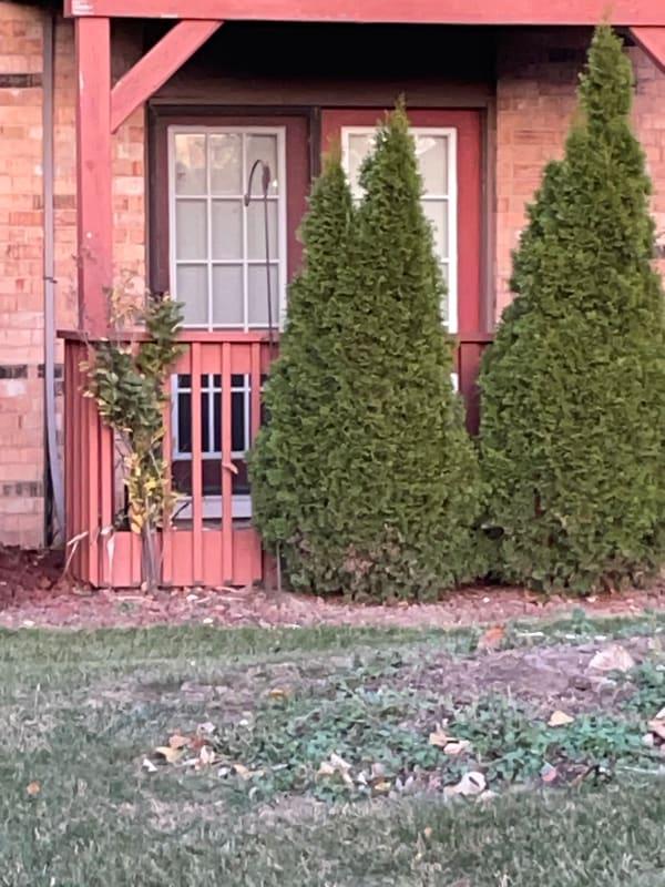 1905 Tall Oaks Dr in Aurora, IL - Foto de edificio - Building Photo