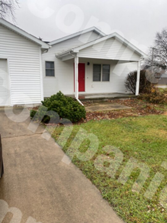 101 Maple St in Ogden, IL - Building Photo
