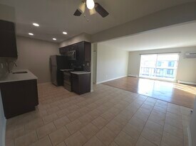 1667 Kiowa Cir in Naperville, IL - Building Photo