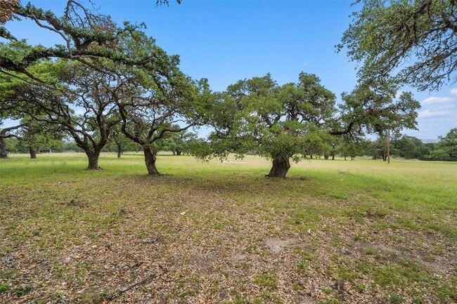 1149 Hart Ln in Dripping Springs, TX - Building Photo - Building Photo
