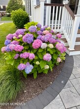 102 4th Ave in Sea Girt, NJ - Building Photo - Building Photo