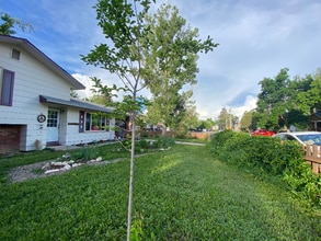 2524 W Plum St in Fort Collins, CO - Building Photo - Building Photo
