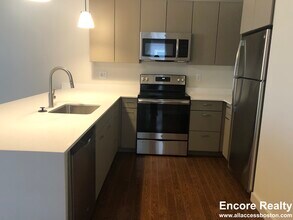 455 Harvard St, Unit 206 in Brookline, MA - Building Photo - Building Photo