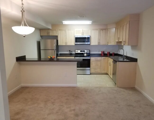 93 Waterfall Dr Rentals in Canton, MA