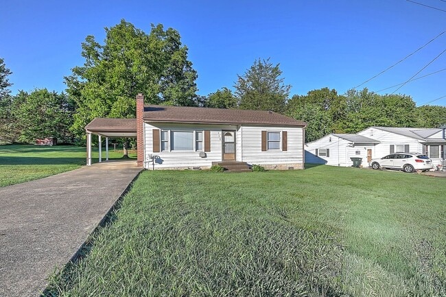 property at 115 Starlite Dr