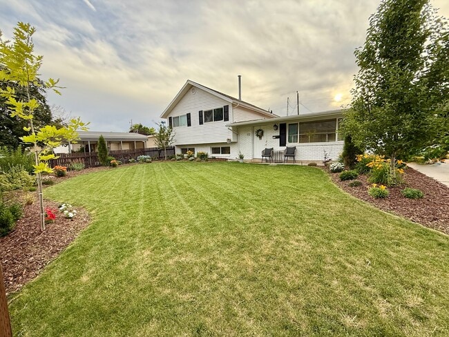 172 Woodland Dr in Orem, UT - Building Photo - Building Photo