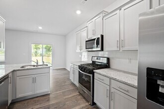 16117 Trenton Green Ln in Charlotte, NC - Building Photo - Building Photo