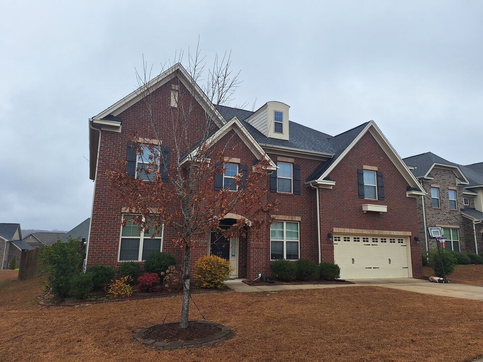 429 Rocky Bark Ln in Blythewood, SC - Building Photo