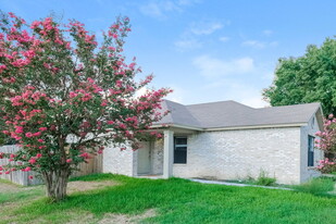 1219 Pike Path in Round Rock, TX - Building Photo - Building Photo