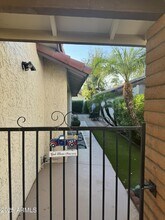 12244 S Chippewa Dr in Phoenix, AZ - Building Photo - Building Photo