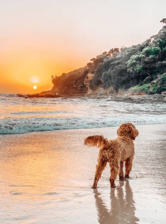 property at 133 Boracay Cir