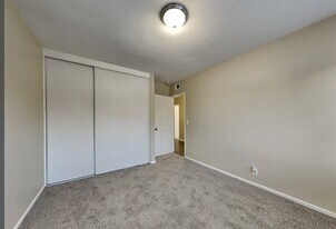 2137 Little Brook Ln in Clearwater, FL - Building Photo