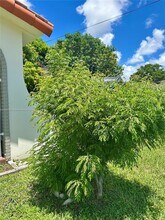 10351 SW 7th St in Miami, FL - Building Photo - Building Photo