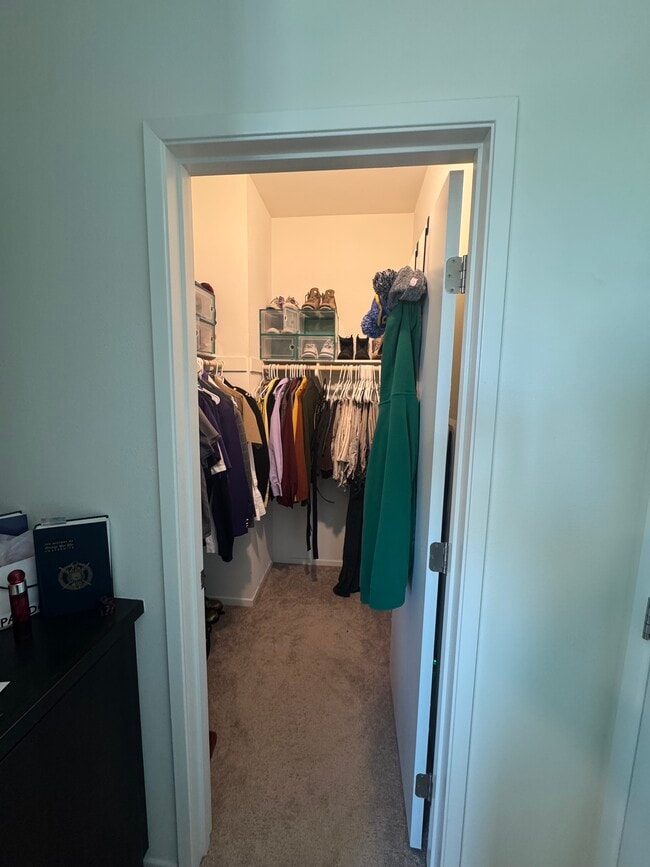 5503 Sandcliff Ln in San Diego, CA - Building Photo - Building Photo