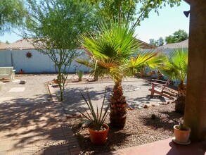 29 E Peppergrass Pl in Queen Creek, AZ - Building Photo - Building Photo