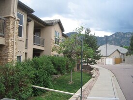 555 Cougar Bluff Point in Colorado Springs, CO - Building Photo