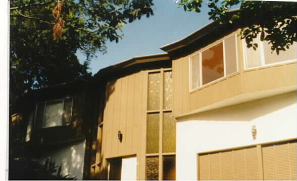 41 Bungalow Ave in San Rafael, CA - Building Photo - Building Photo