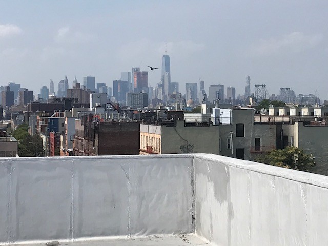 220 bushwick in Brooklyn, NY - Building Photo - Floor Plan