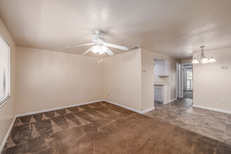 Cedar Ridge Apartments in Gainesville, FL - Foto de edificio - Interior Photo