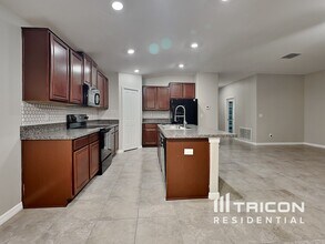 17224 White Mangrove Dr in Wimauma, FL - Building Photo - Building Photo