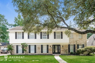 10719 Idlebrook Dr in Houston, TX - Building Photo