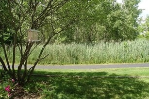 2526 Looking Glass Ct in Aurora, IL - Building Photo