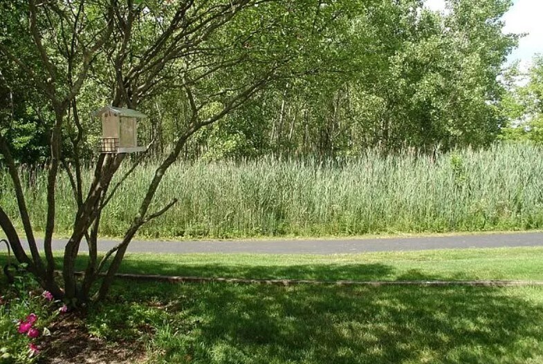 2526 Looking Glass Ct in Aurora, IL - Building Photo