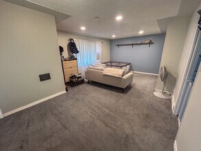 3685 Ivanhoe St in Denver, CO - Building Photo - Building Photo