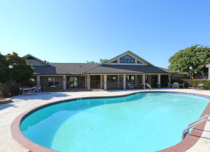 Sable Chase in Mcdonough, GA - Foto de edificio - Building Photo