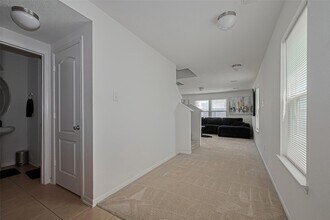 19229 Gunther Springs Ct in Houston, TX - Foto de edificio - Building Photo