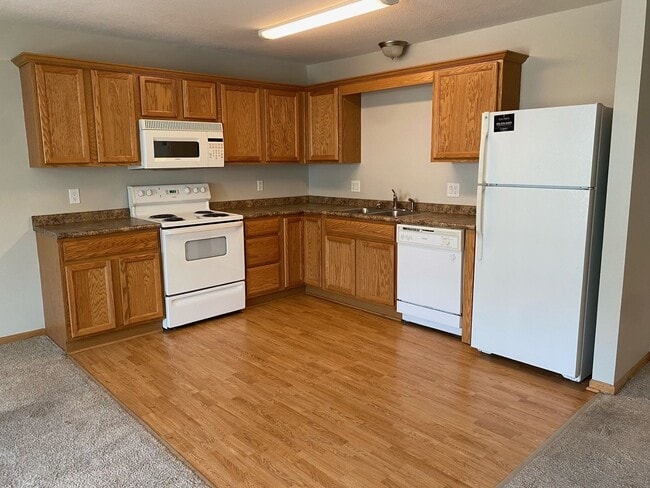 3035 SW Sharmin Ln in Ankeny, IA - Building Photo - Building Photo