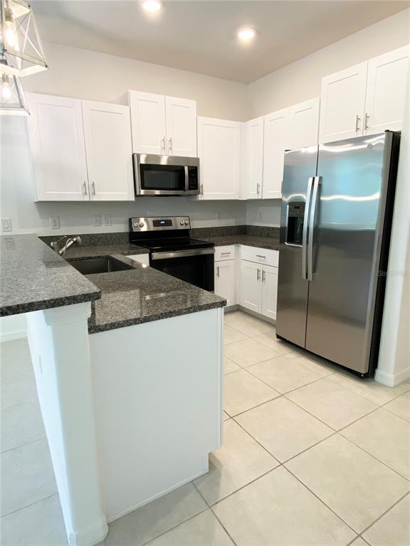 17534 Nectar Flume Dr in Land O Lakes, FL - Building Photo - Building Photo