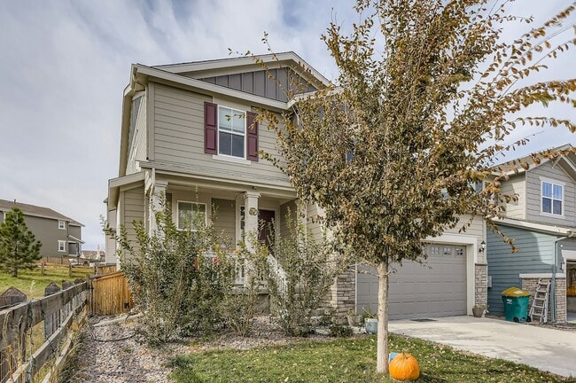 3103 Jonquil St in Castle Rock, CO - Building Photo - Building Photo