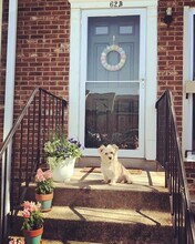 62 N Bedford St, Unit 62 N Bedford St Unit B in Arlington, VA - Foto de edificio - Building Photo