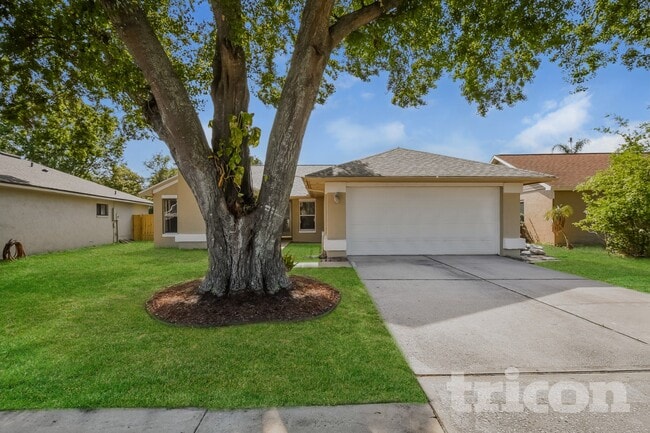 property at 1007 Black Willow Dr