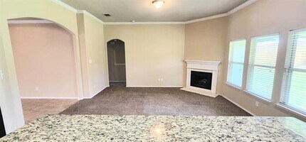 1209 Nocona Dr in McKinney, TX - Building Photo - Building Photo