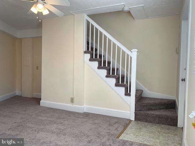 531 Hanover St in Fredericksburg, VA - Building Photo - Building Photo