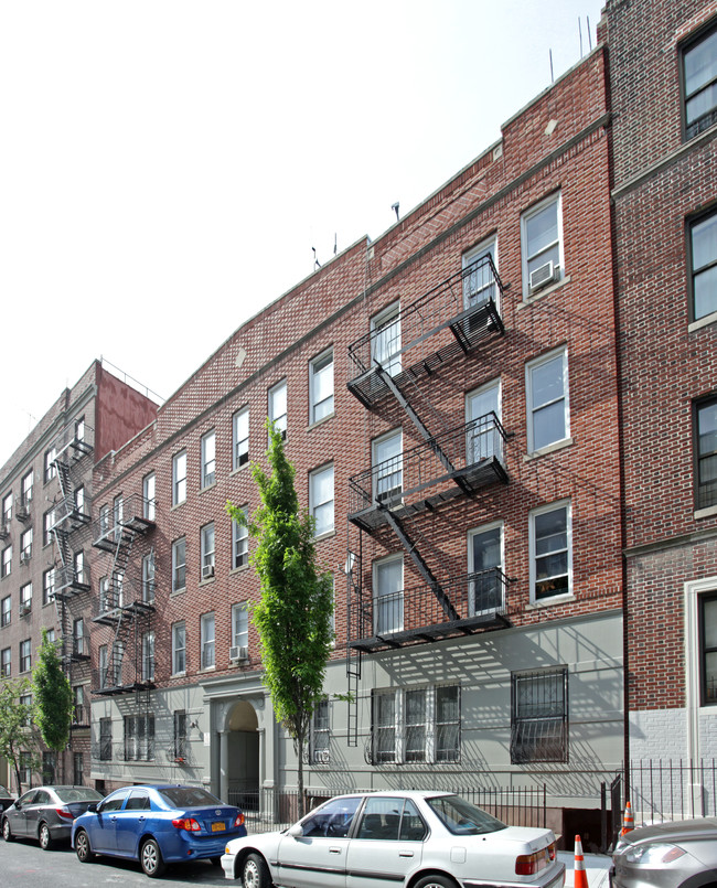 291 Lincoln Pl in Brooklyn, NY - Building Photo - Building Photo