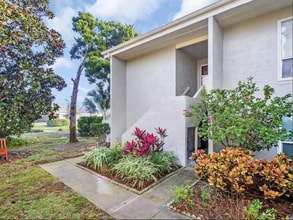 616 Windrush Bay Dr in Tarpon Springs, FL - Building Photo - Building Photo