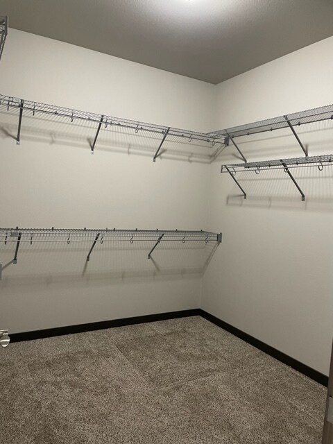 3152 N Callary St in Post Falls, ID - Building Photo
