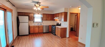 2114 Wyndham Lakes Ct in Plainfield, IL - Building Photo - Building Photo