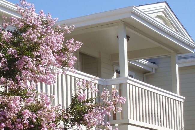 238 Tuscany Pl in Sonoma, CA - Building Photo - Building Photo