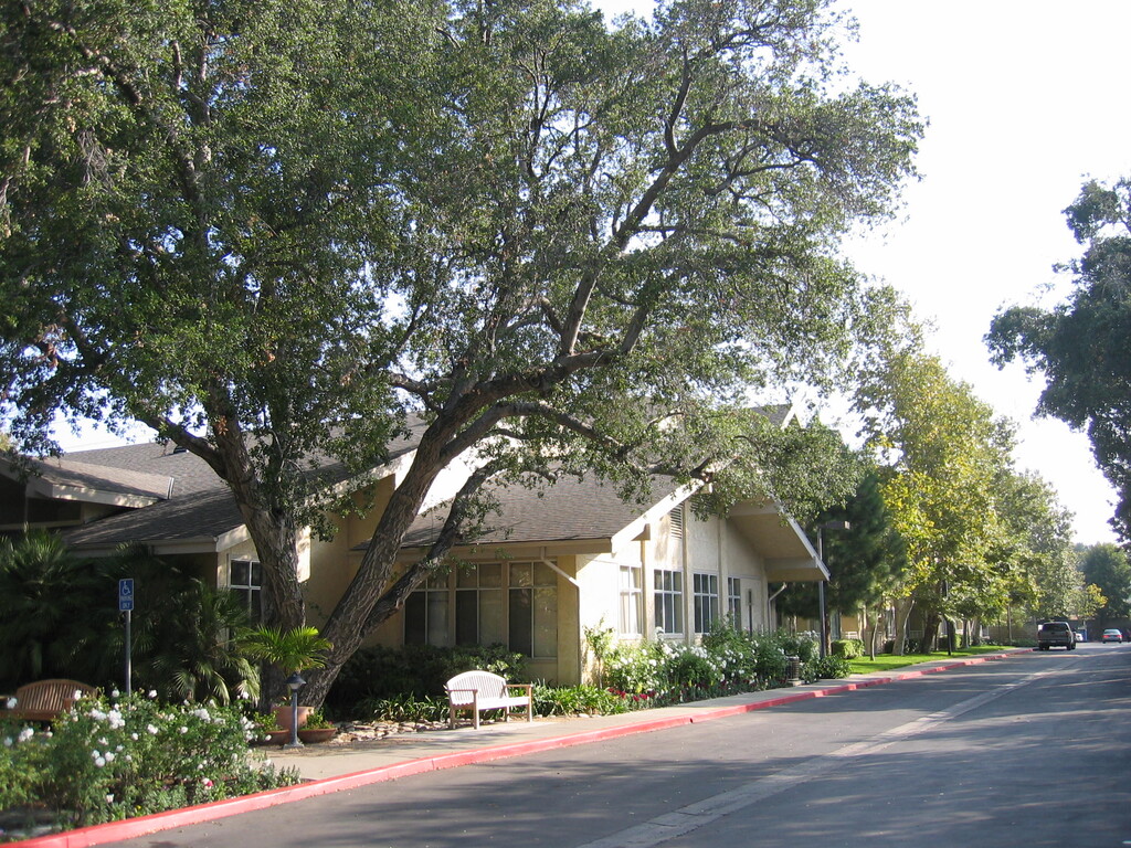 Senior Apartments In Newhall Ca