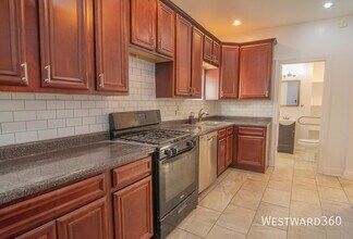 1007 S Campbell Ave in Chicago, IL - Building Photo - Building Photo