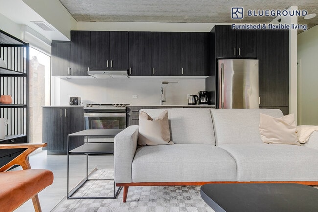 343 W Schiller St in Chicago, IL - Building Photo - Building Photo