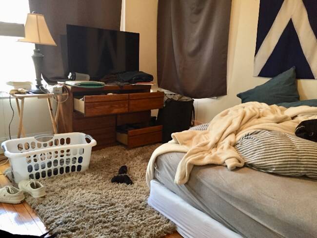 208 Freeman St, Unit 2 in Brookline, MA - Foto de edificio - Building Photo