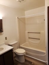 172 North St, Unit 162 in Melvin, IA - Building Photo - Building Photo